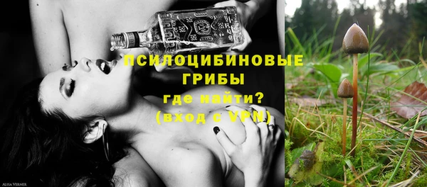 твердый Аркадак