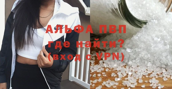 дмт Магас